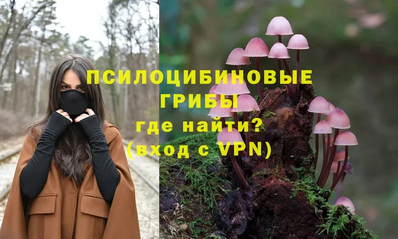 Галлюциногенные грибы MAGIC MUSHROOMS  Бобров 